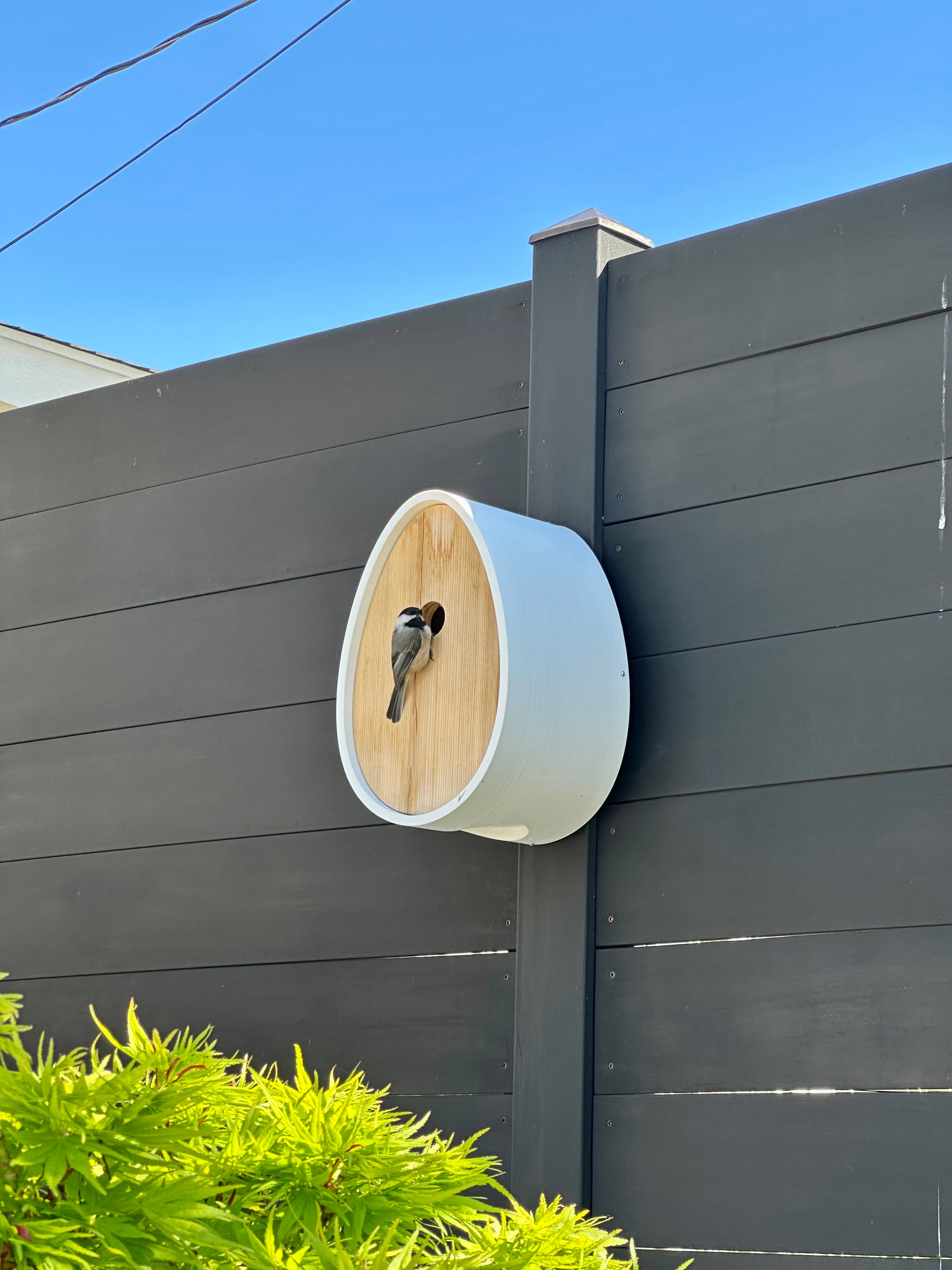 The Peep Show® Video Birdhouse