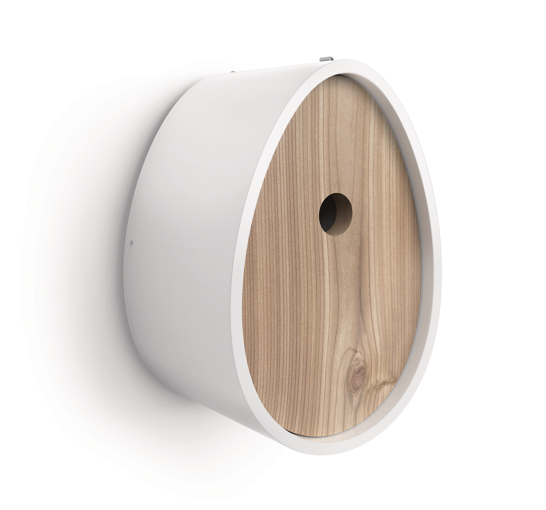 The Peep Show® Video Birdhouse