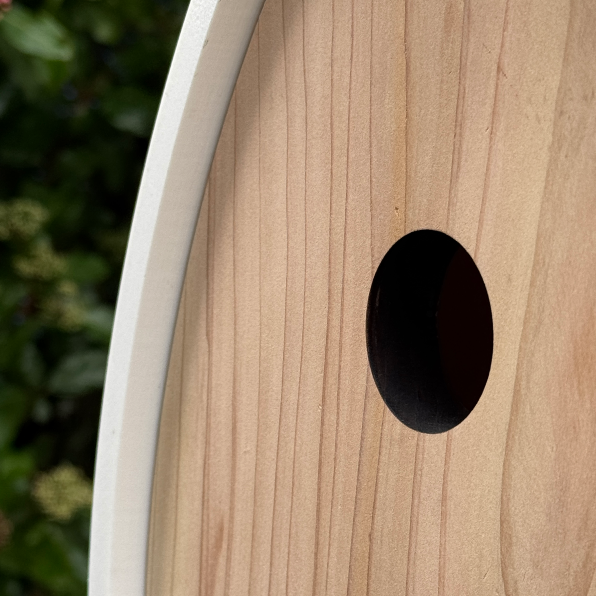 Up close zoomed in shoot of The Peep Show Video Birdhouse Bluebird entry hole. 